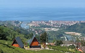 Yamaçdere Bungalov